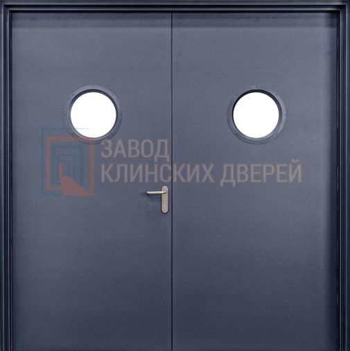 Техническая дверь с порошковым напылением со стеклопакетом с двух сторон ДТХ-12 с порошковым напылением со стеклопакетом с двух сторон ДТХ-12