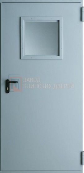 Противопожарная дверь с порошковым напылением со стеклопакетом ПРПЖ-16 с порошковым напылением со стеклопакетом ПРПЖ-16