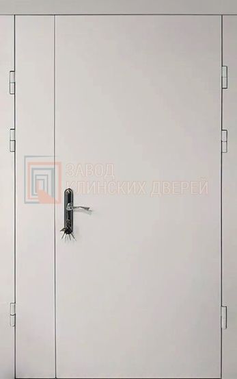 Тамбурная дверь с порошковым напылением ТМБ-21 с порошковым напылением ТМБ-21